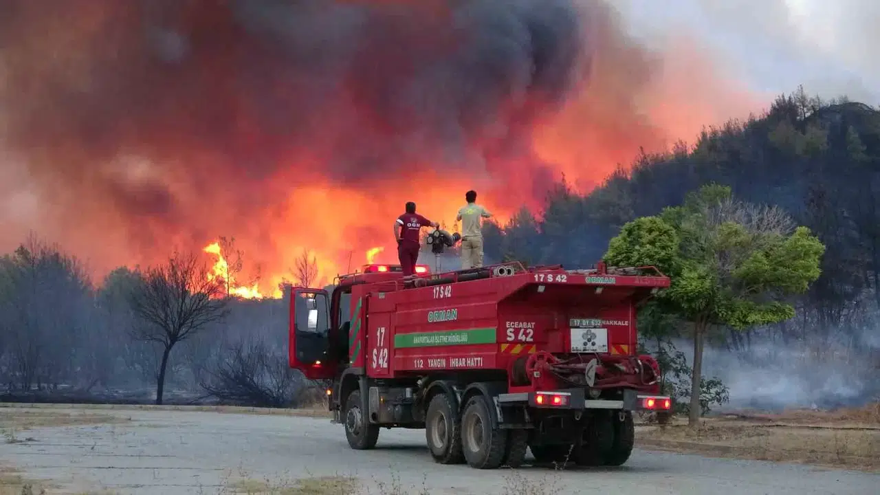 Çanakkale’deki Orman Yangını Devam Ediyor