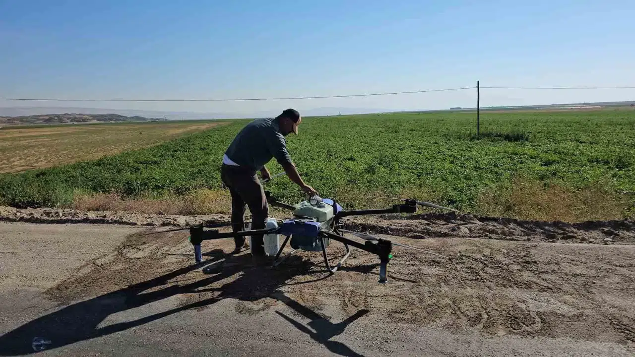 Çiftçiler Kurtlanan Fasulyeleri İçin Dronla İlaçlama Yapıyor
