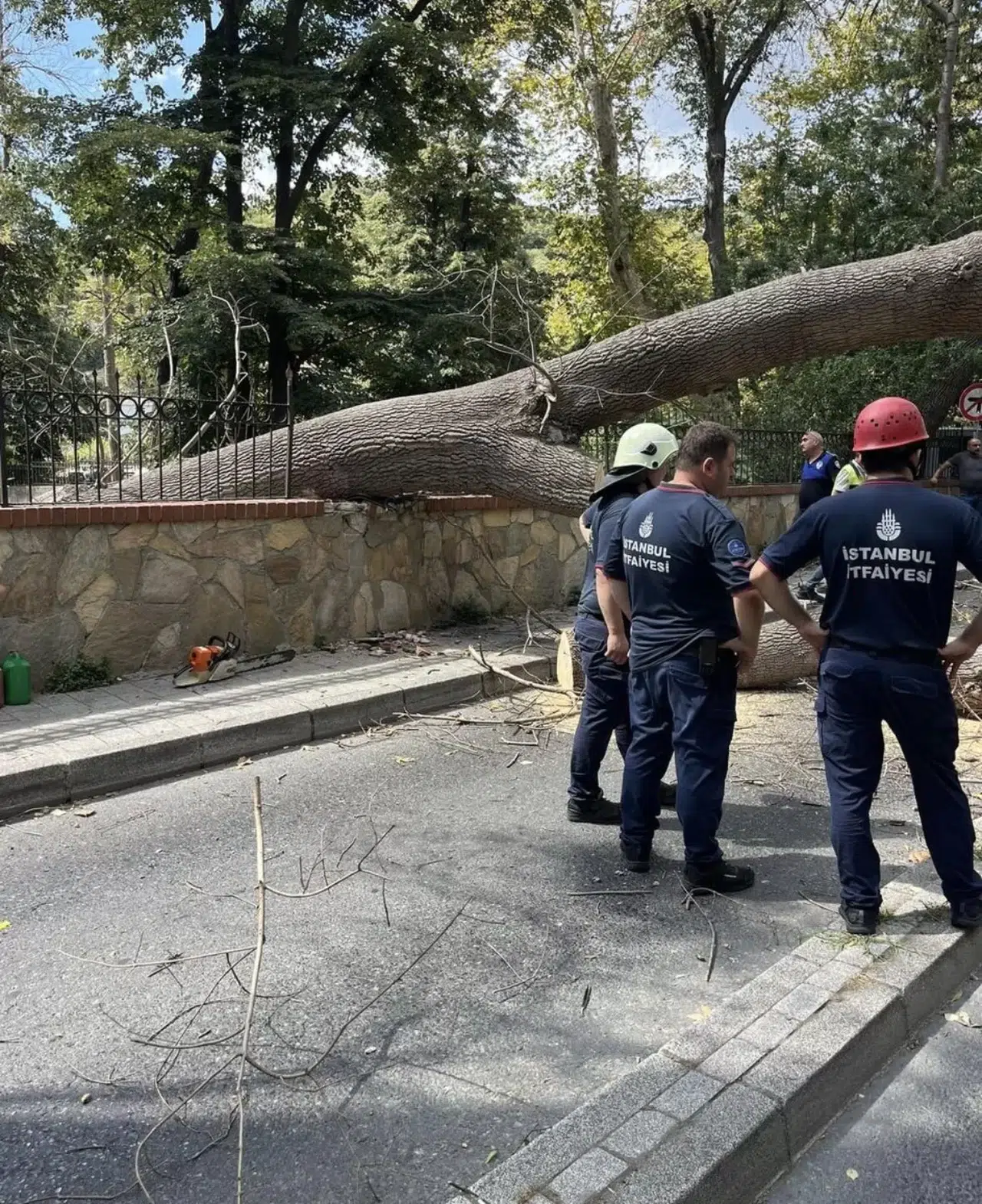 İstanbul Sarıyer’de Çürüyen Ağaç Yola Devrildi