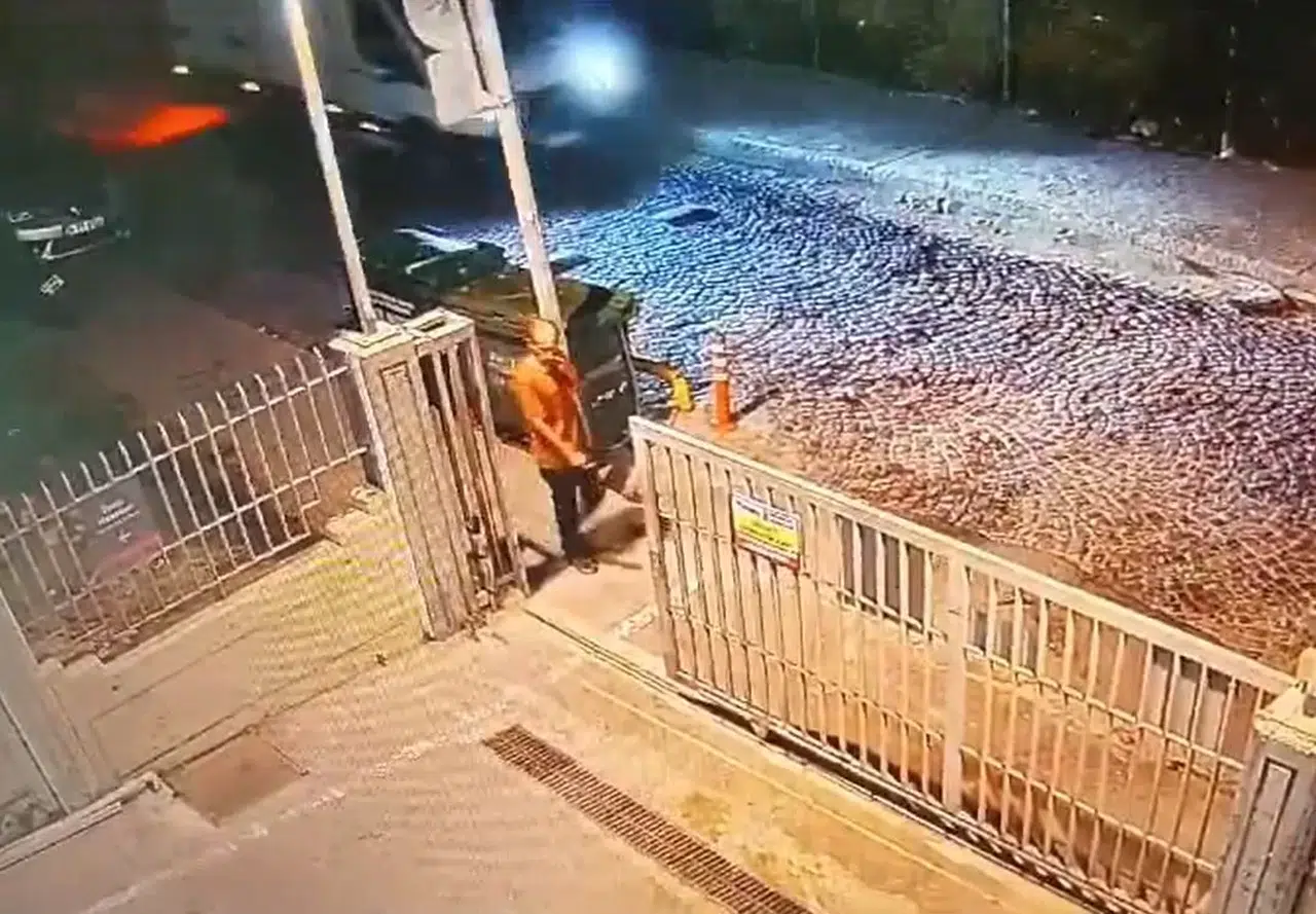 İstanbul’da Zihinsel Engelli Adama Sokak Köpeklerinin Saldırısı Sonucu Hayatını Kaybetti
