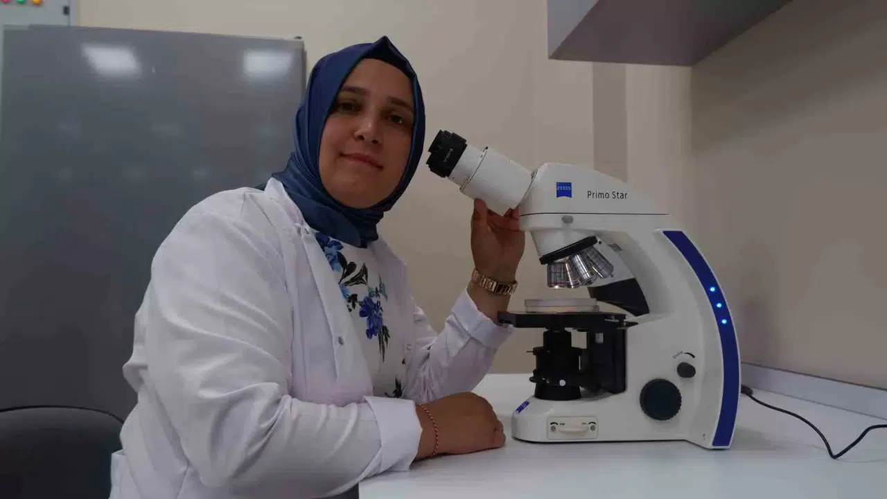 Tarım Toprağına  D Vitamini Dayanağı