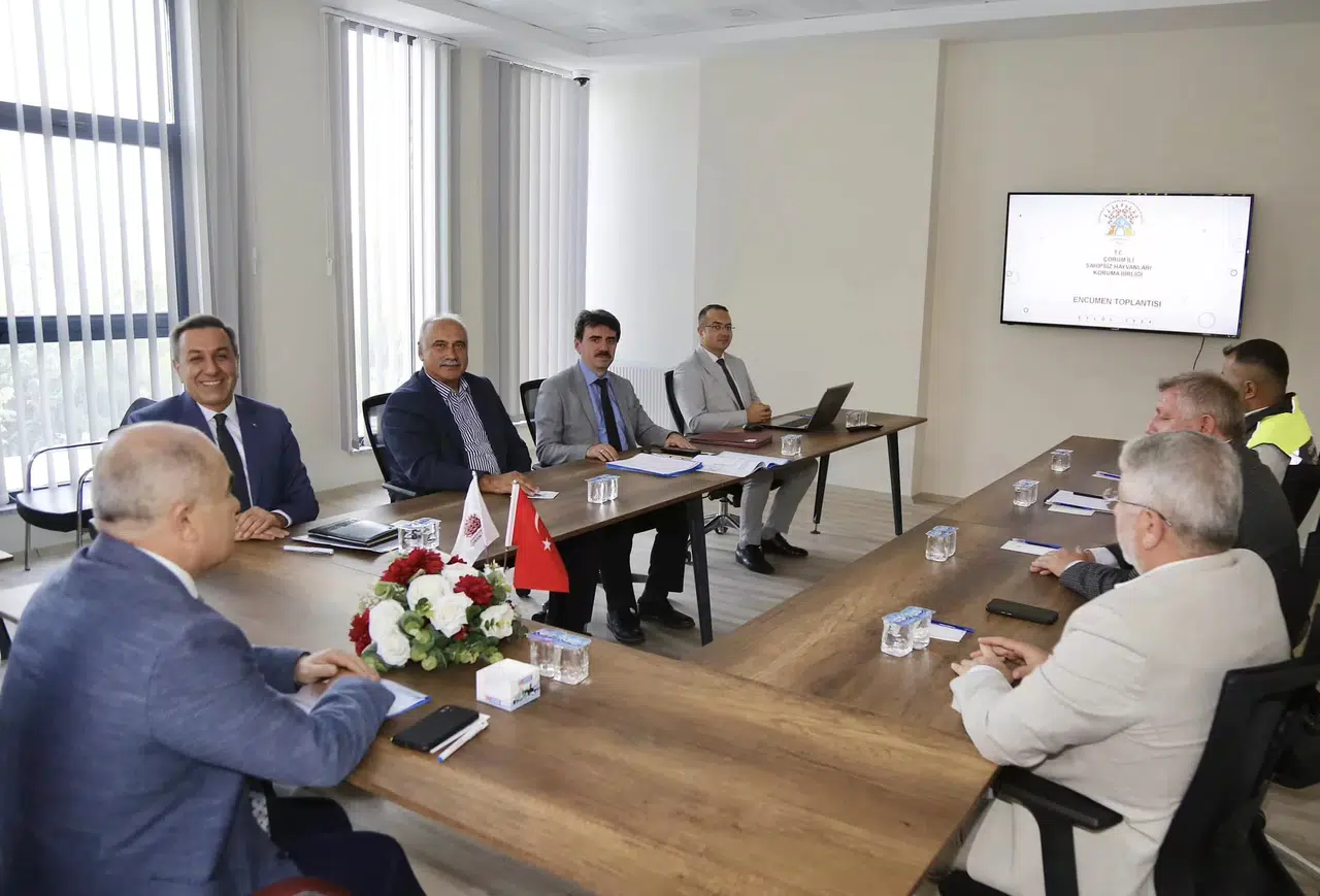 Çorum’un Farklı Noktalarına Hayvan Barınakları Yapılacak