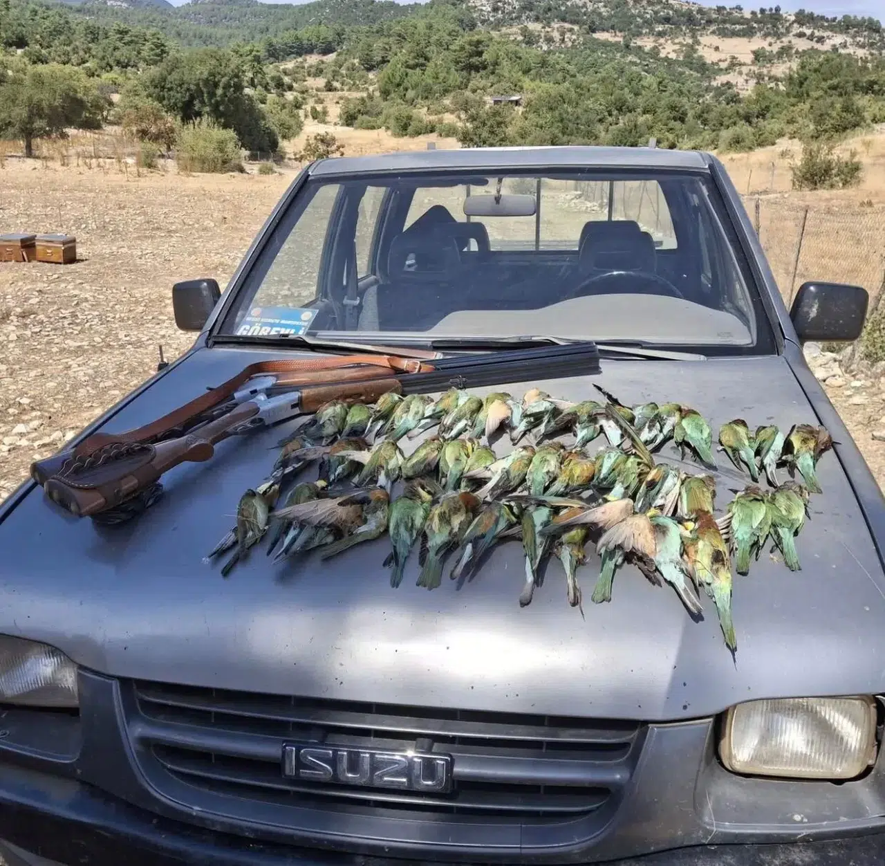 Antalya’da Müdafaa Altındaki Arı Kuşlarını Avlayan 2 Şahsa Ceza Yağdı
