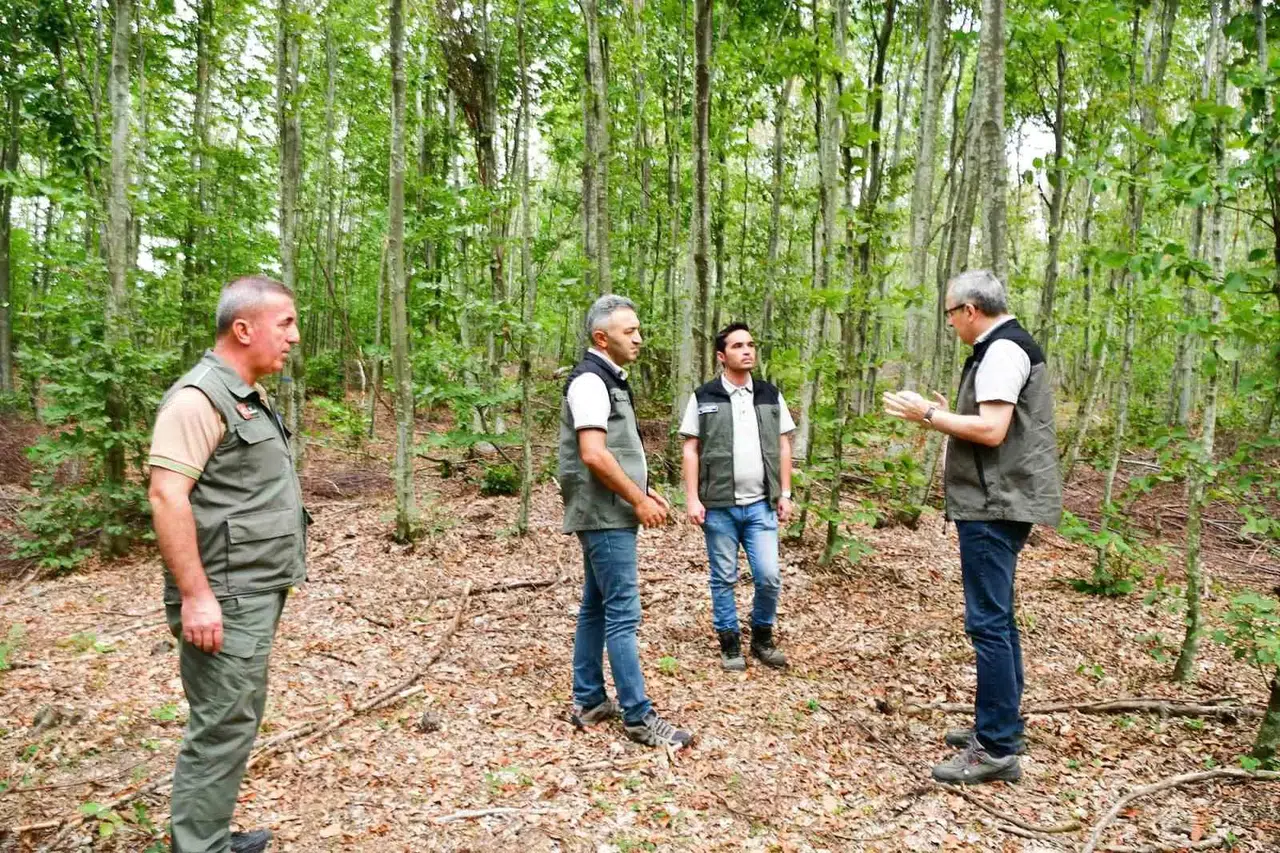 Balıkesir’de Kayın Ormanlarından Rahmet Yağıyor