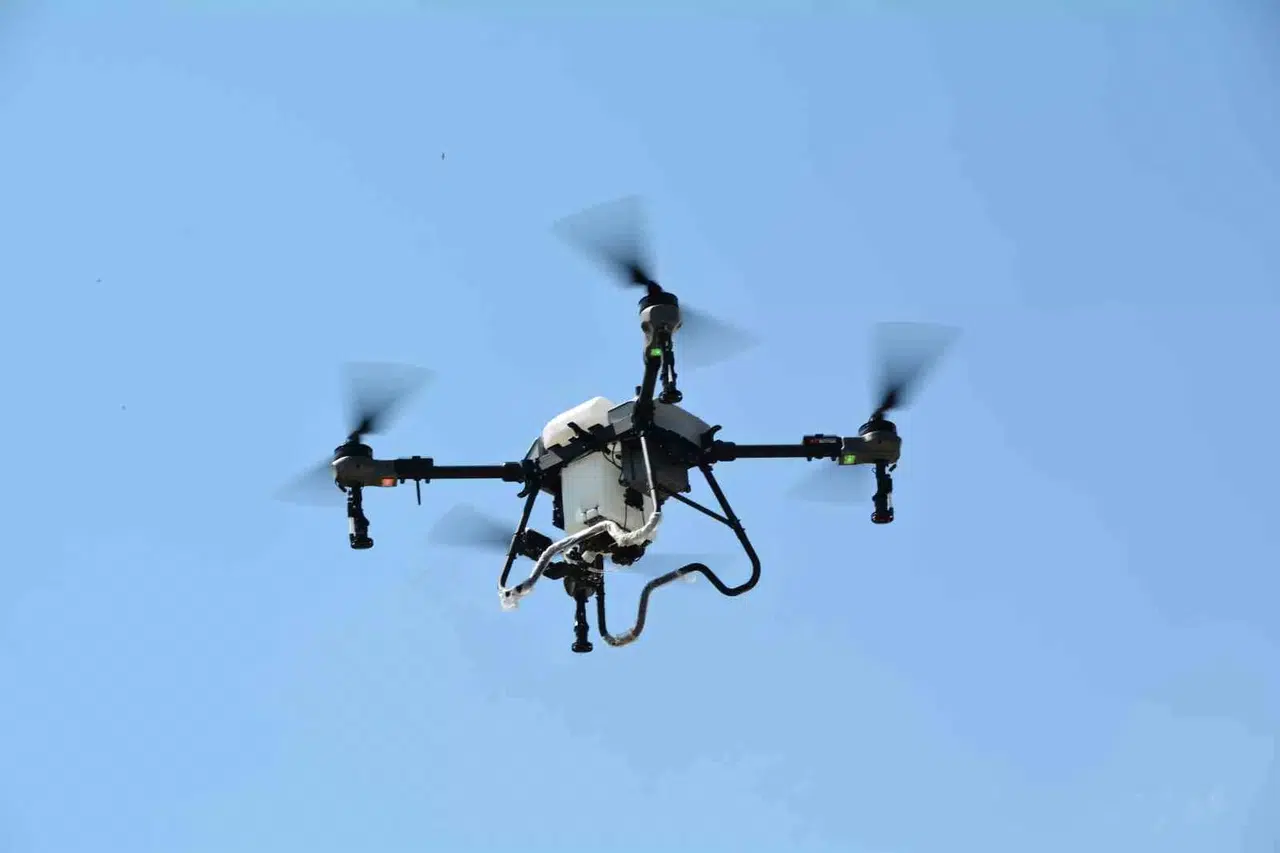 Bitlis’te Çekirgeye Karşı Dronla Uğraş
