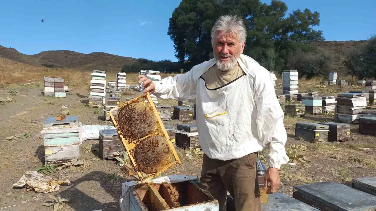 Geçersiz Bal Hem Sıhhati Hem de Bölümü Olumsuz Etkiliyor