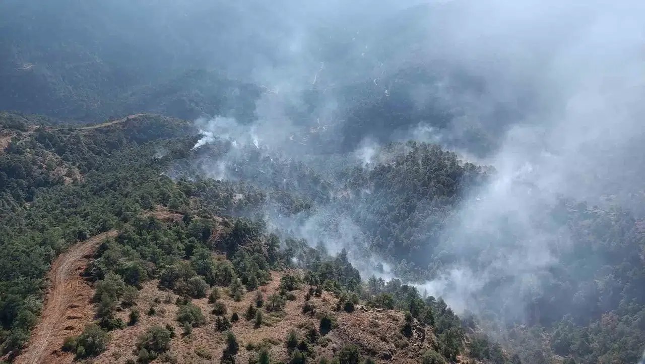 Hatay’da Gece Saatlerinde Başlayan Orman Yangını Denetim Altına Alındı