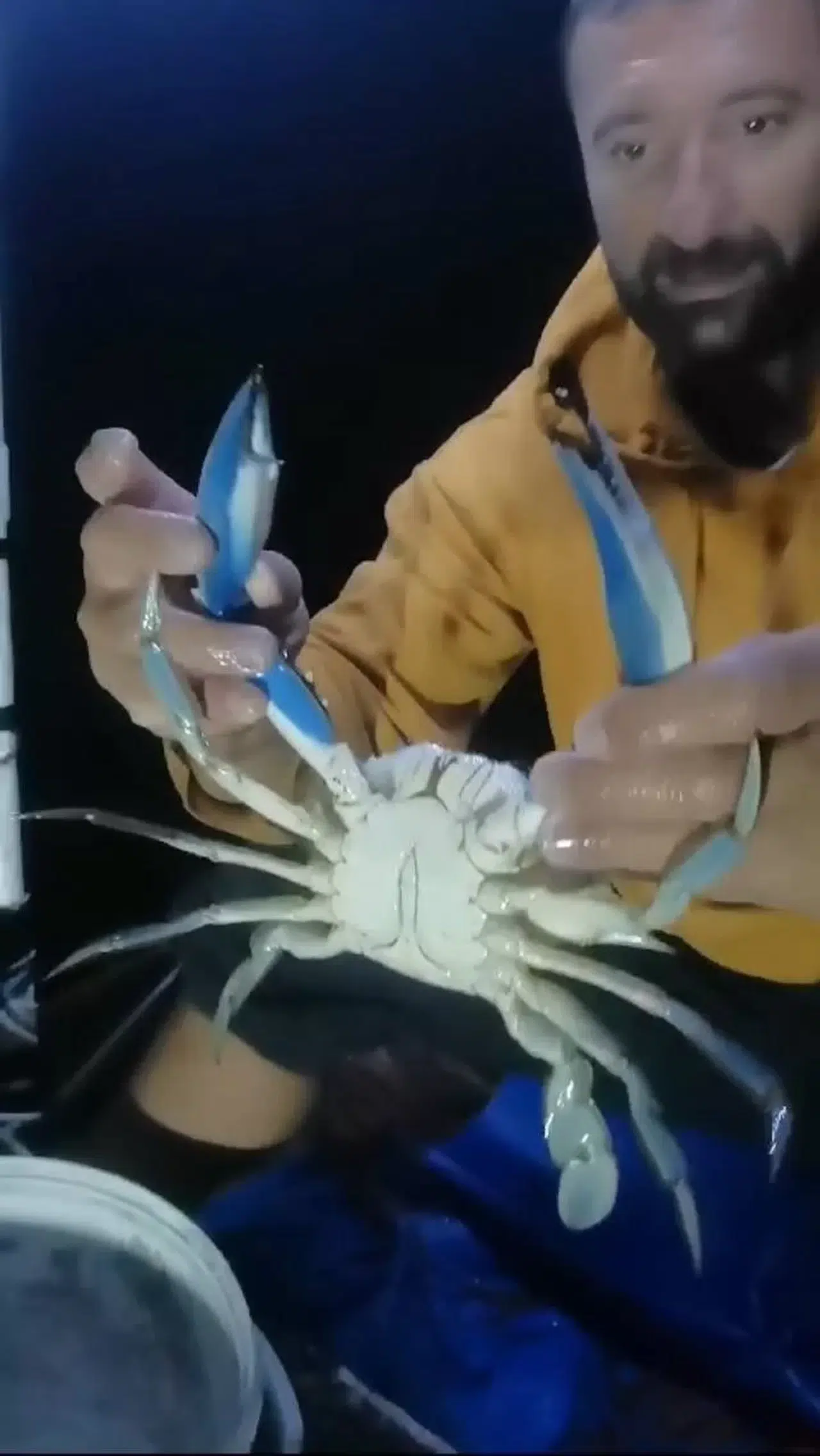 Karadeniz’de Balıkçının Ağına Mavi Yengeç Takıldı