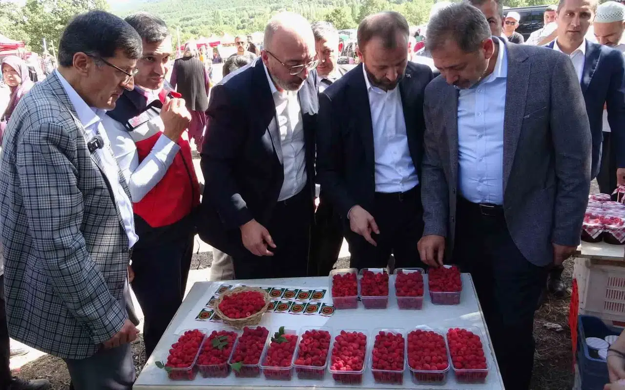 Kütahya’da ’Ahududu Şenliği’ Renkli İmgeler Oluşturdu