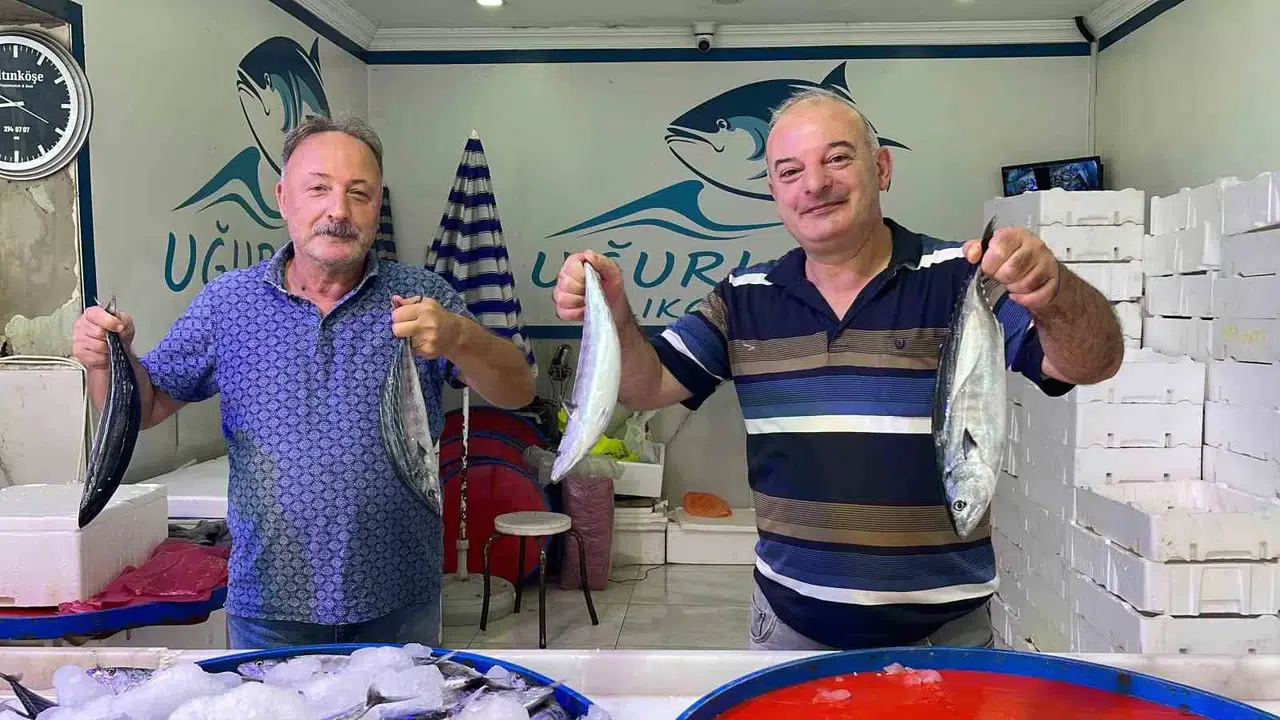 Palamutun Tezgahlardaki Krallığı Sürüyor