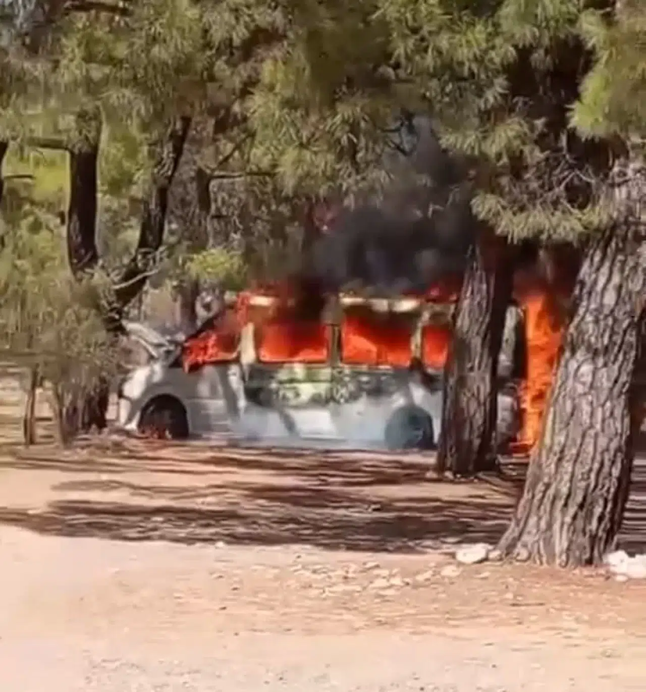 Park Halindeki Çeşit Minibüsü Alev Alev Yandı