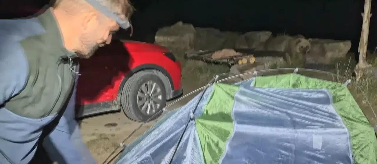 Polonyalı Turist Ayı Saldırısından Son Anda Kurtuldu