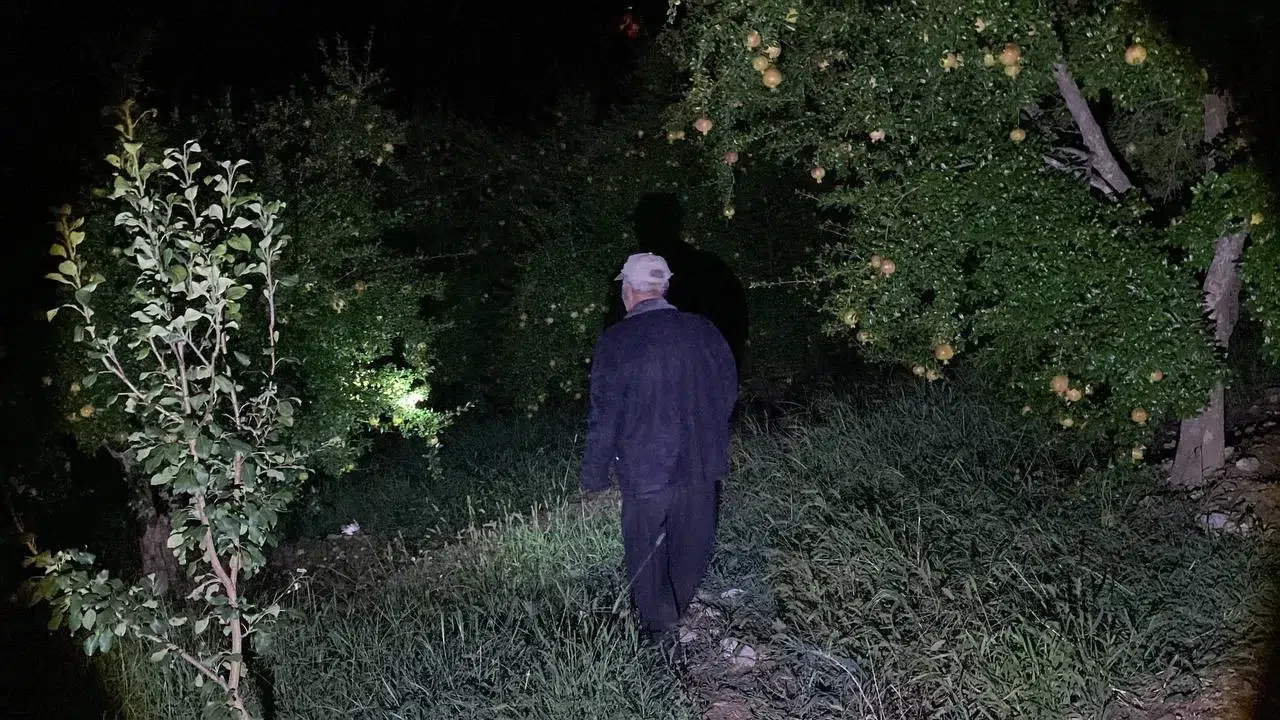 Tescilli Narda Çiftçilerin Domuz Nöbeti