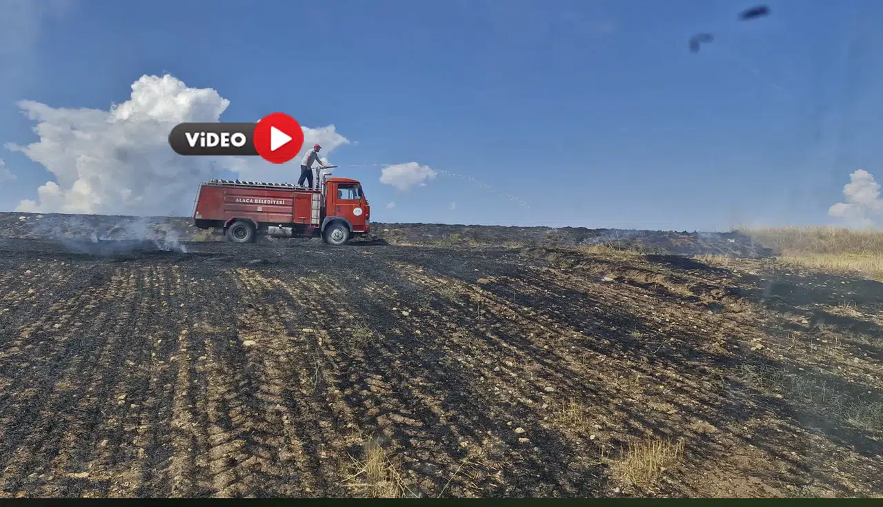 Yangın, Ormanlık Alana Sıçramadan Söndürüldü