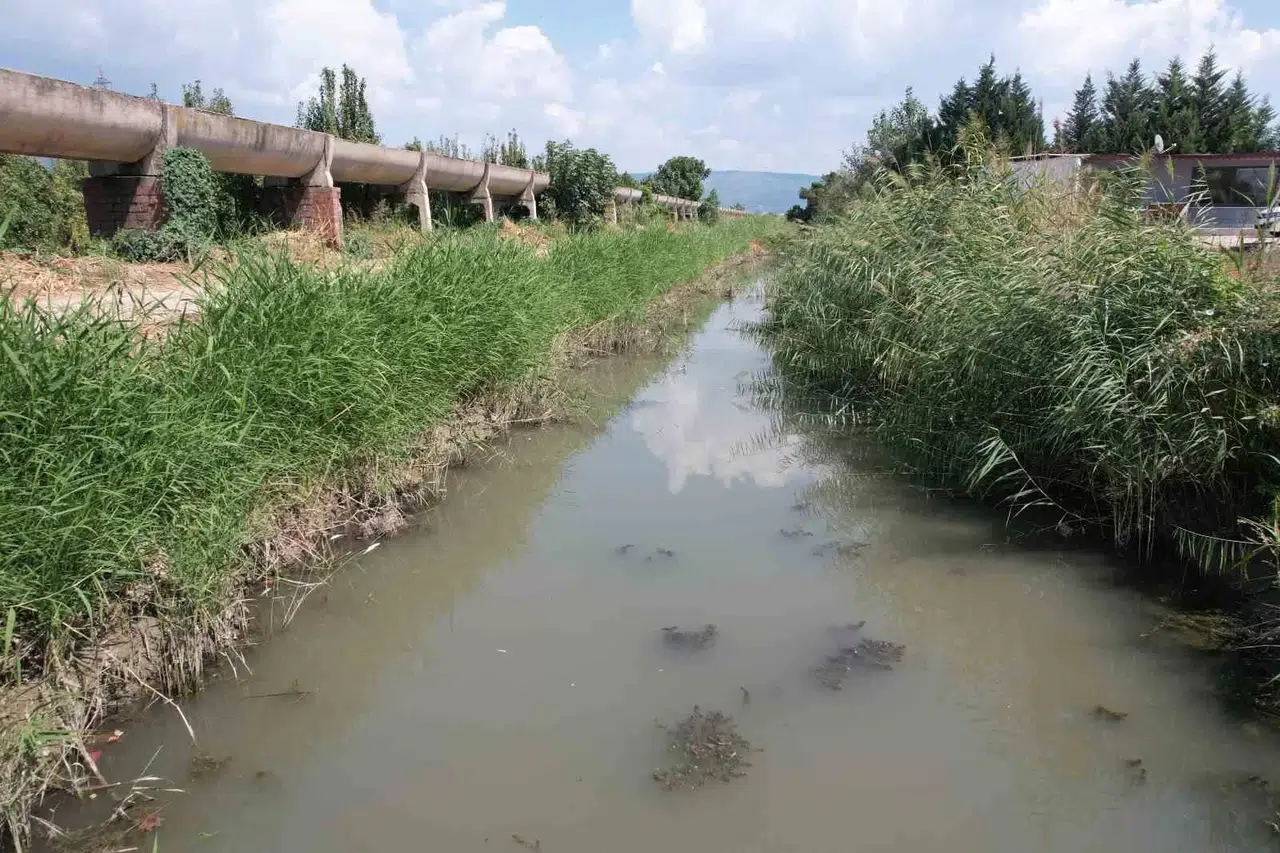 Zehir Akan Derede Toplu Balık Vefatı Yaşanıyor