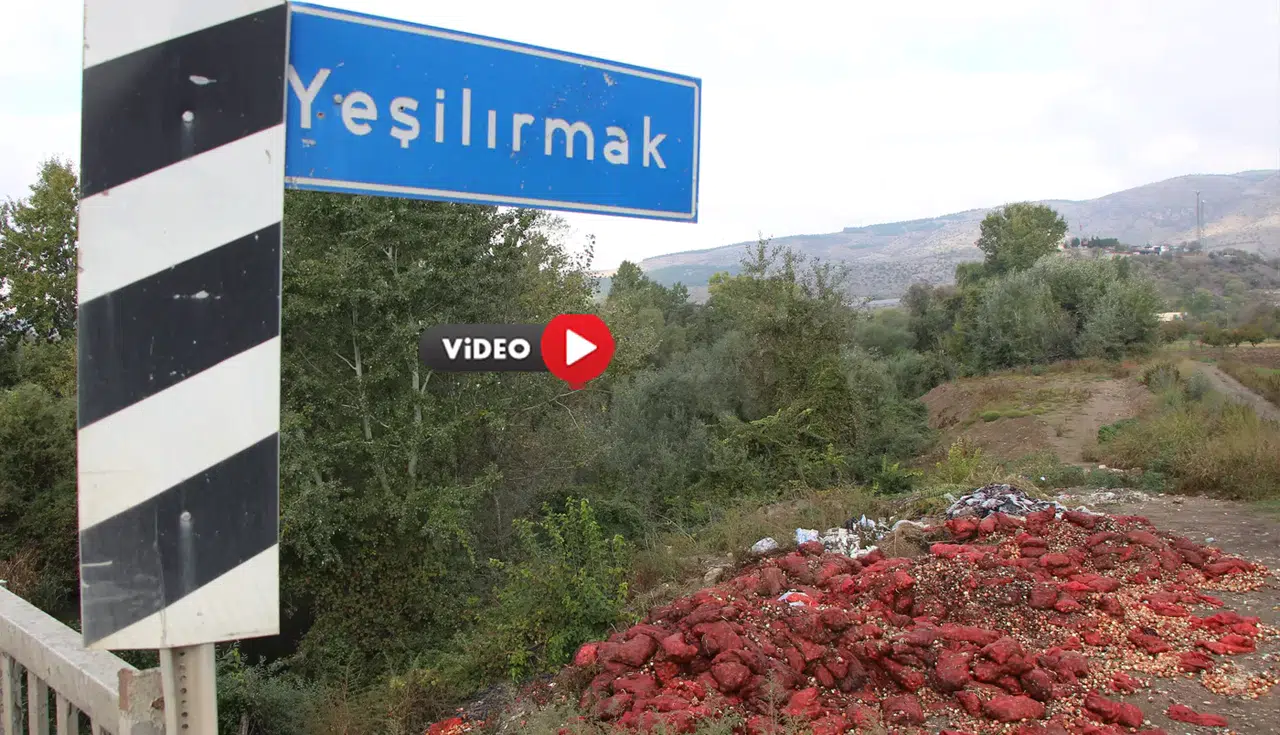 Bu Görüntüler Irmak Kenarından, Satamadıkları Ürünleri Döktüler!