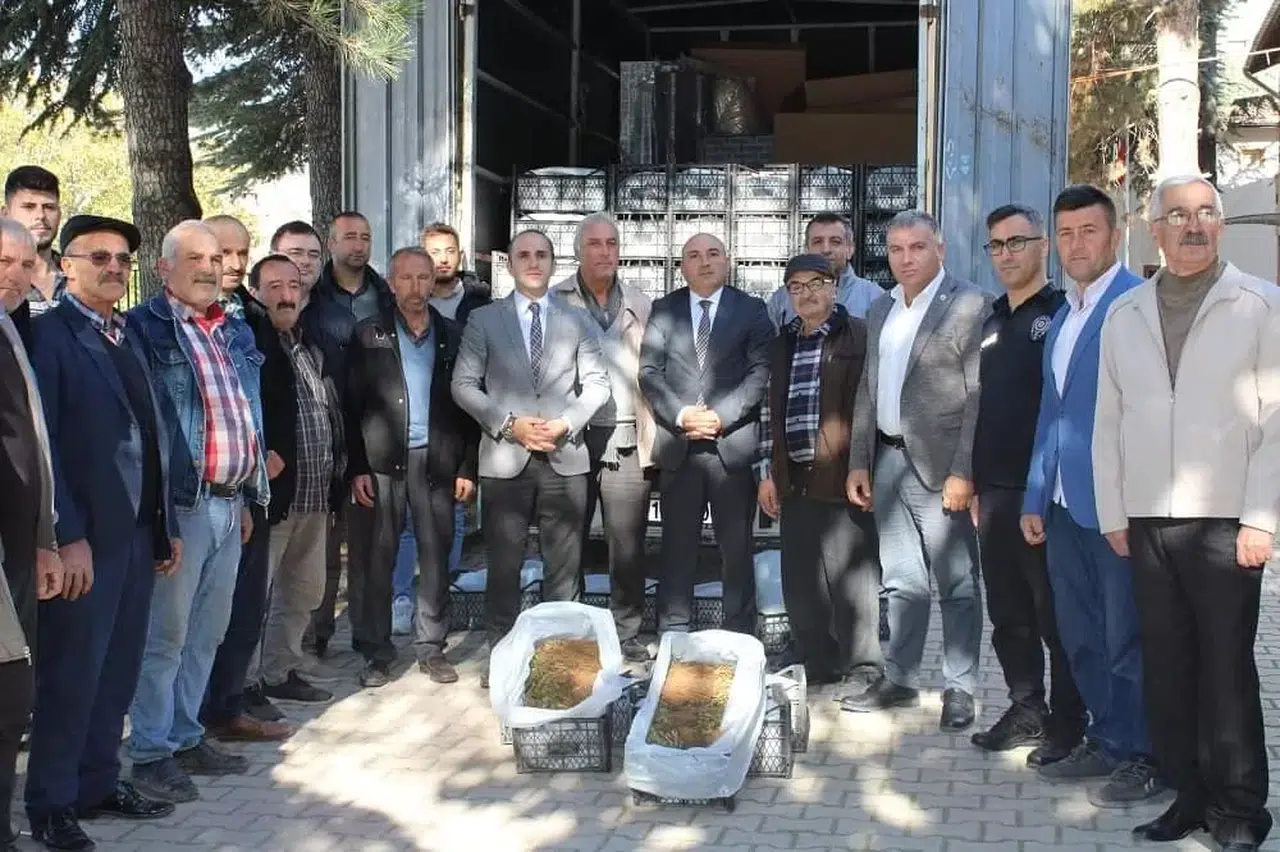 Çiftçilere Yüzde 75 Hibeli Fide Desteği