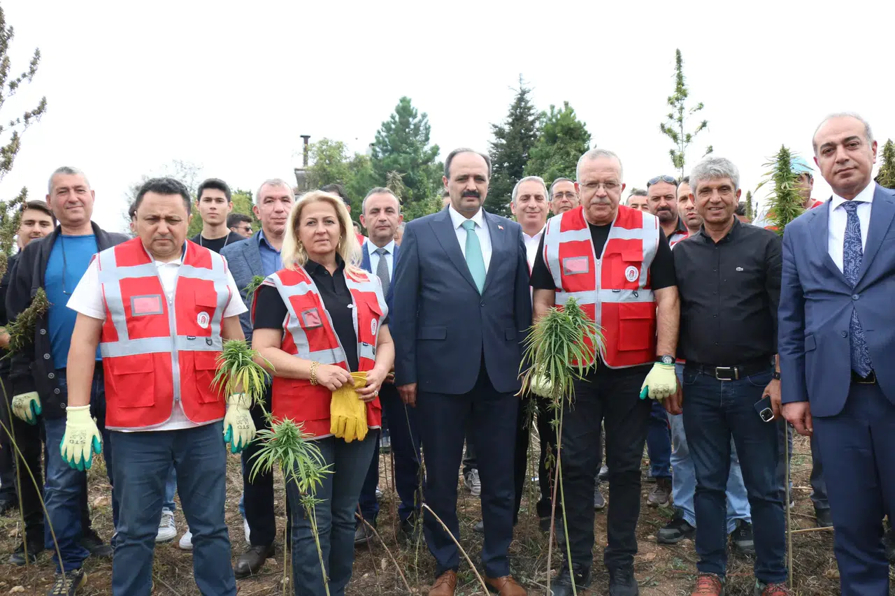 Kenevir Hasadı Şenlikle Yapıldı