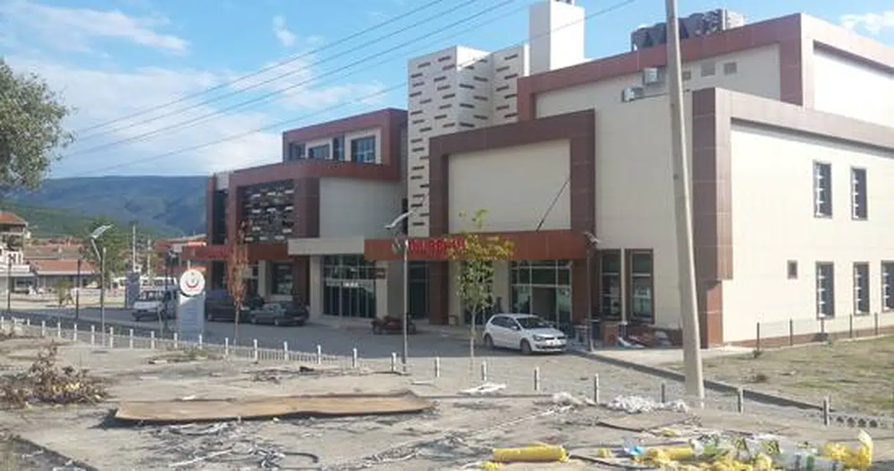 Mantar Toplarken Ayı Saldırdı