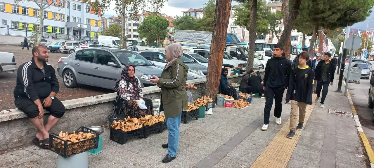 Osmancık’ta Mantar Bereketi