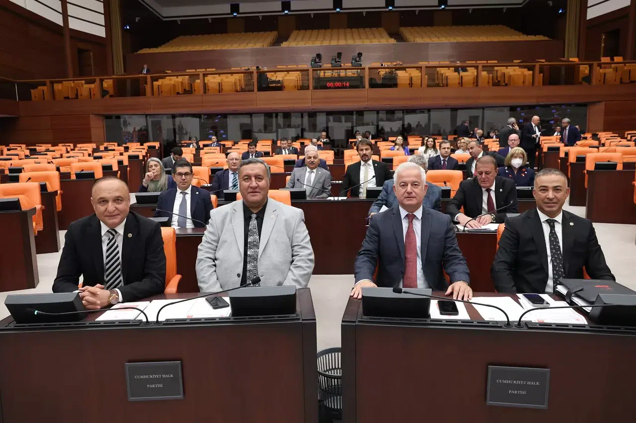 ‘Sorunları Görmezden Gelmeyi Tercih Ettiler’