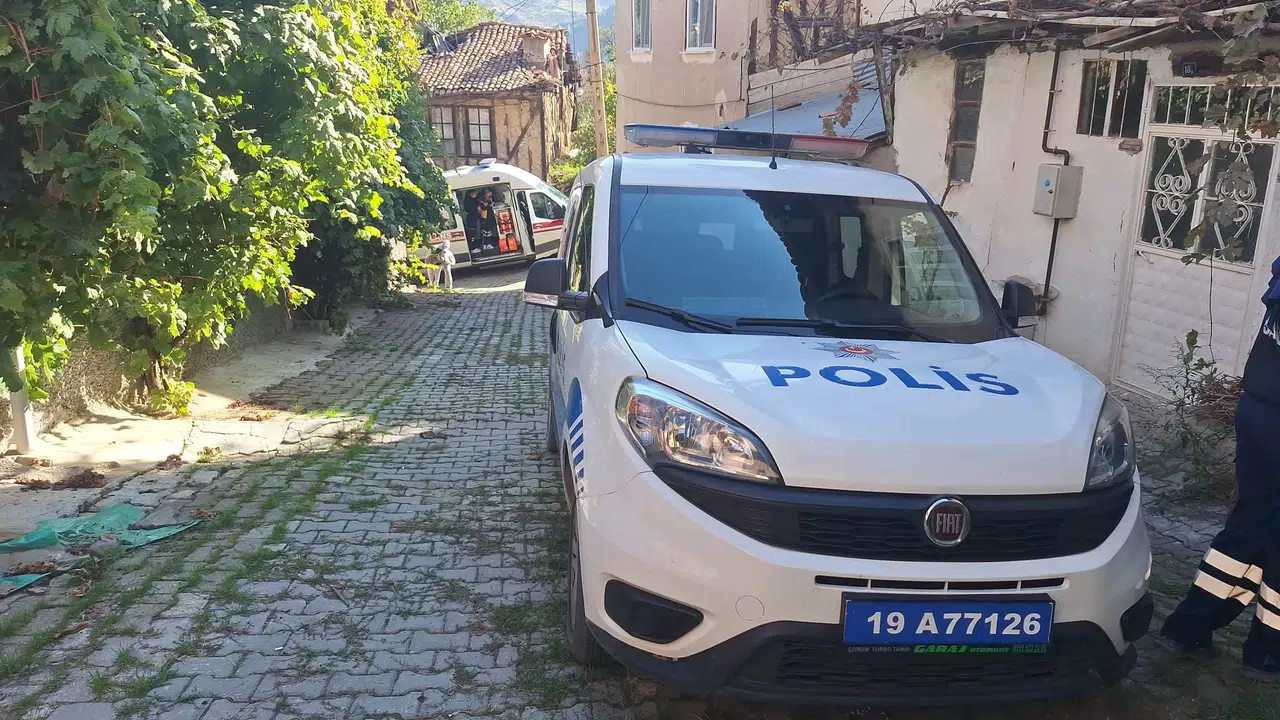 Yaşlı Adamın Talihsiz Ölümü