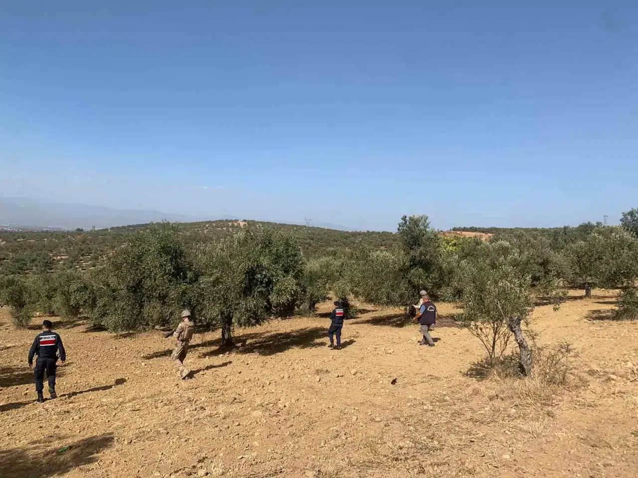 Balıkesir’de Zeytinliklere Jandarma Muhafazası