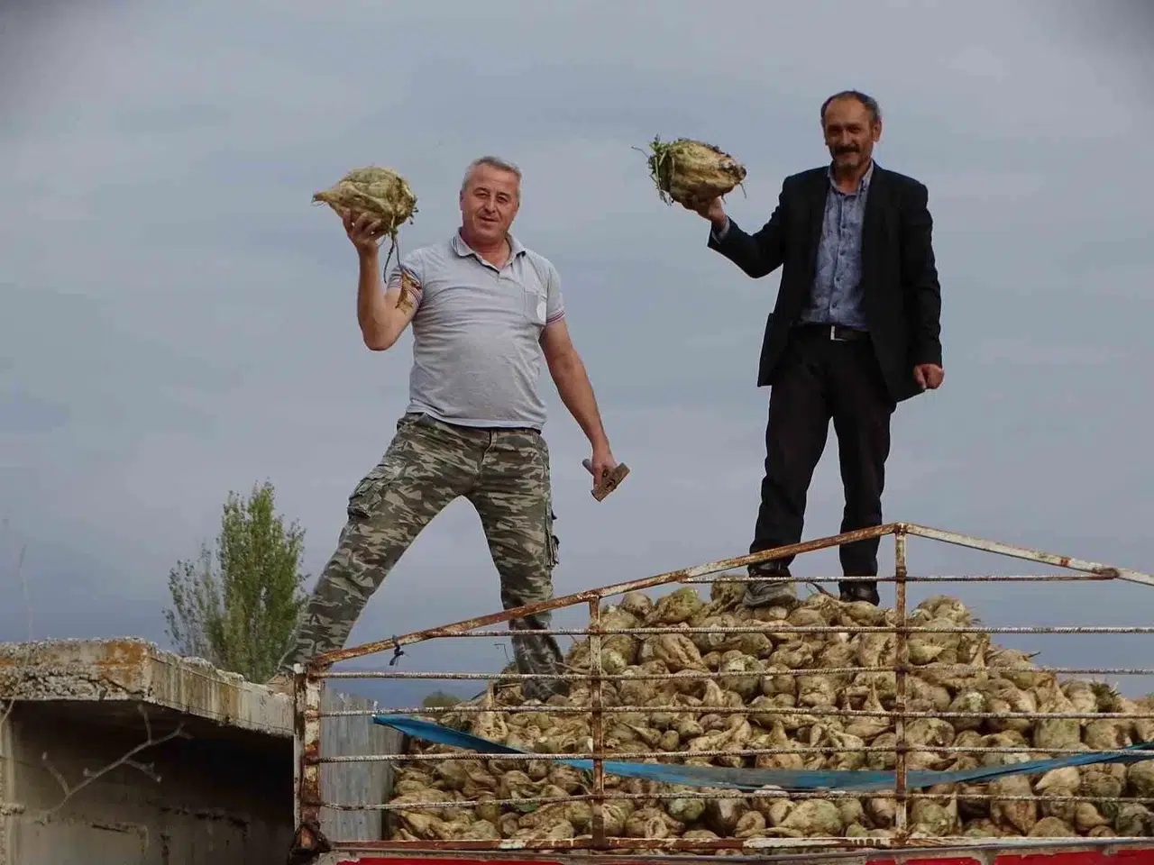 Hisarcık’ta Şeker Pancarı Üretiminde Artış