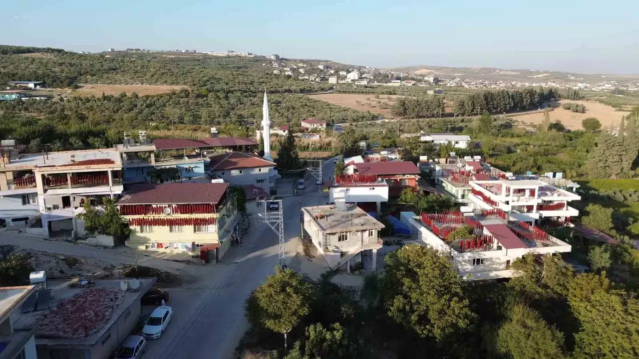 Kurutmalık Biberlerle Mahalle Adeta Kırmızıya Büründü