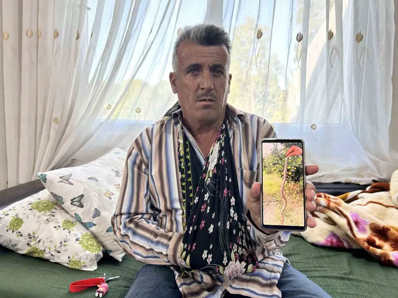 Narenciye Topladığı Esnada Engerek Isıran Çiftçi, Hayata Tutunmayı Başardı