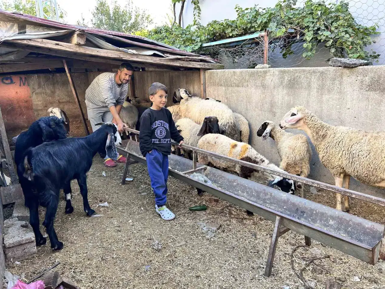 Otomobilini Satarak Hayvancılığa Başlayan Depremzede Baba ve Böbrek Hastası 2 Evladının Umudu Olan 22 Koyunu Polis Takımları Buldu