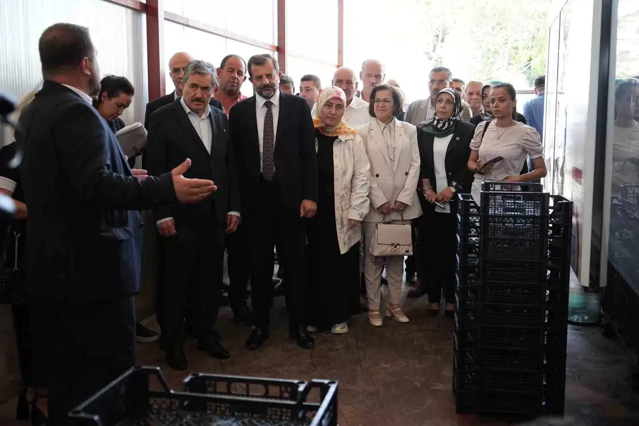 (Özel) Kendi Ürettikleri Meyve Kasasından 3 Milyon Lira Tasarruf Ettiler