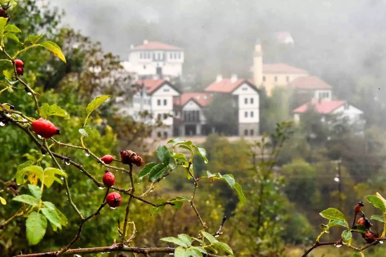 Tarihi Süleymaniye Mahallesi’nde Sisli Sonbahar Hoşluğu