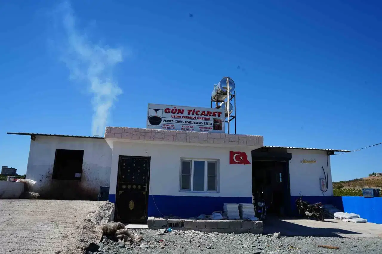 Üzümün Taneden Pekmeze Uzanan Seyahati