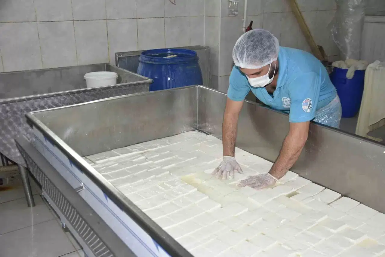 Yüzde 50 Hibe Takviyesiyle Kurulan Fabrikada Süt Eserleri Üretiliyor