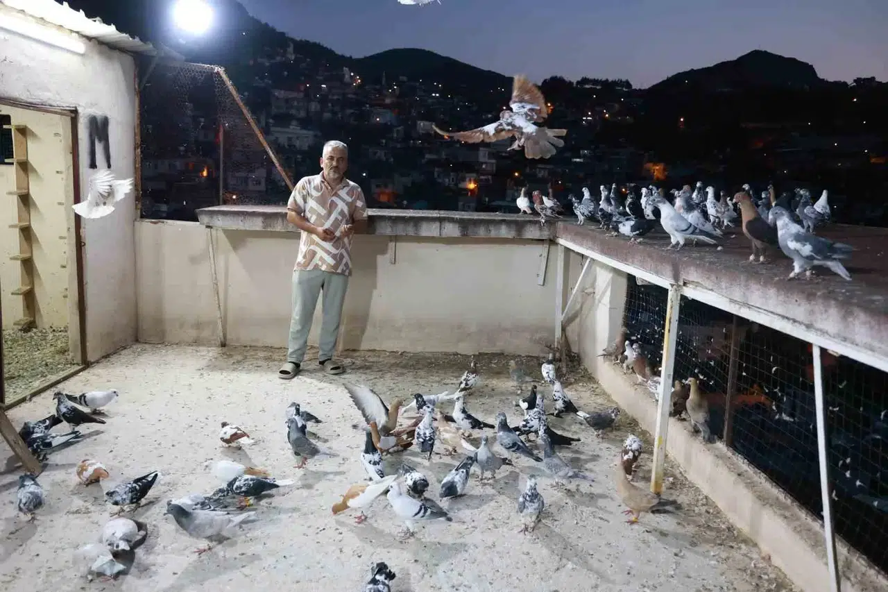 Zelzelenin Bile Vazgeçiremediği 35 Yıllık Tutkusunu Meskeninin Çatısında Sürdürüyor