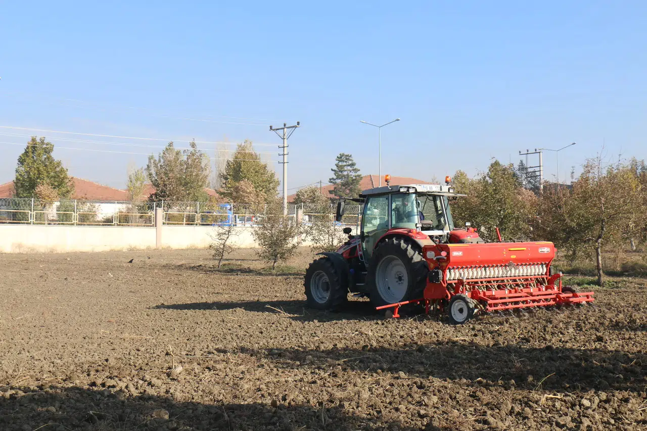 Arpa ve Buğday Çeşit Denemeleri Başladı