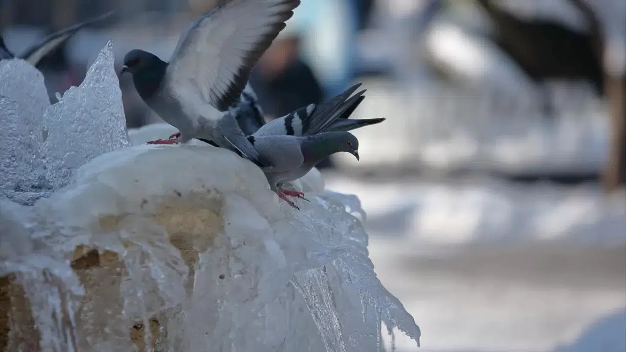 Çorum’da Hava Sıcaklığı Aniden Düşecek