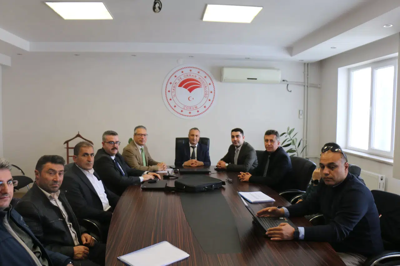 Küçükbaş Hayvan Islahı Projesi Masada