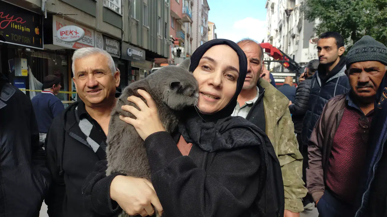 Patlamada Mahsur Kalan Kedisine Kavuştu