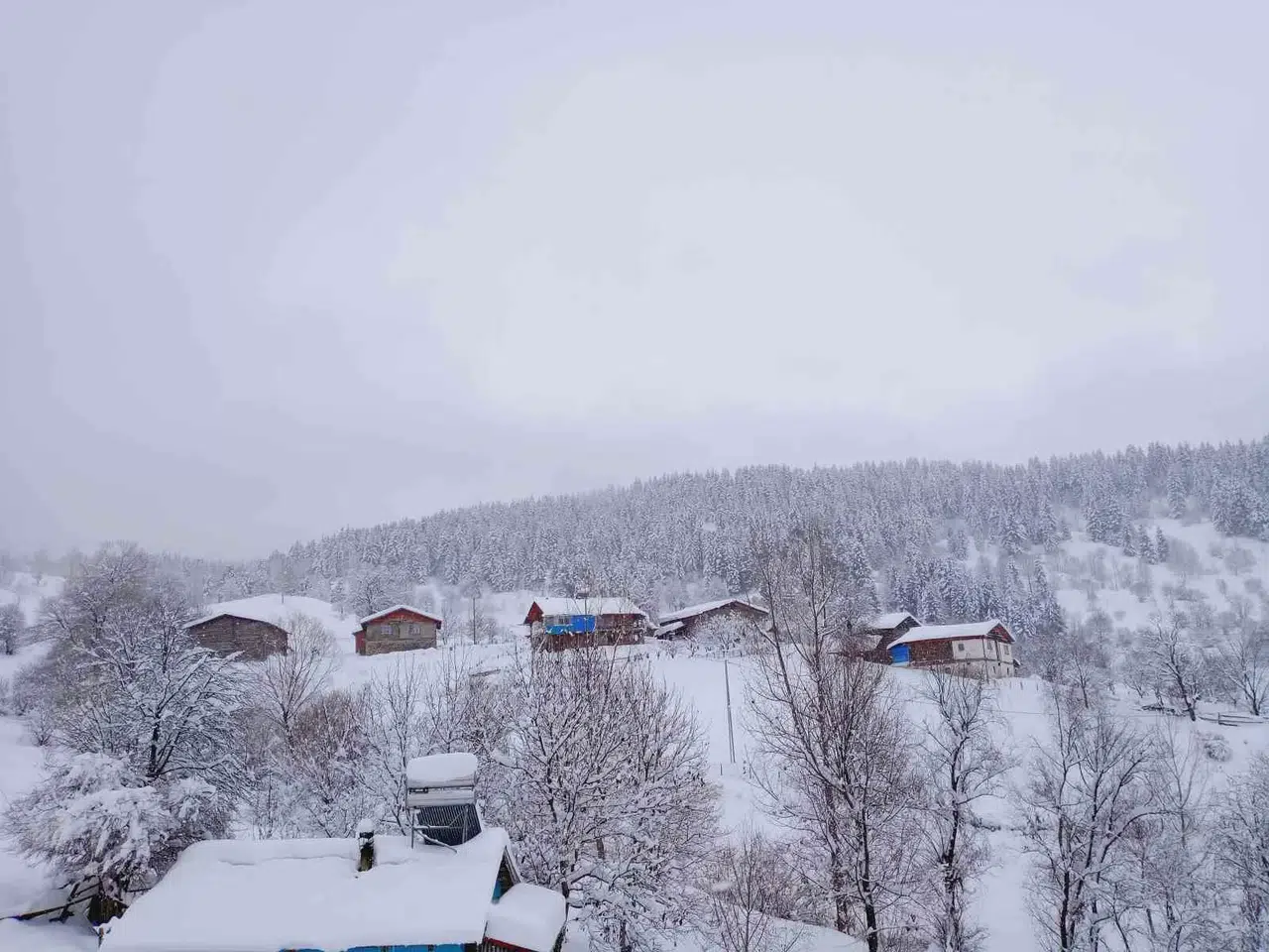 Artvin’de Kar Kalınlığının 1 Metreyi Bulduğu Köyde Gece Gündüz Çatı Temizleniyor