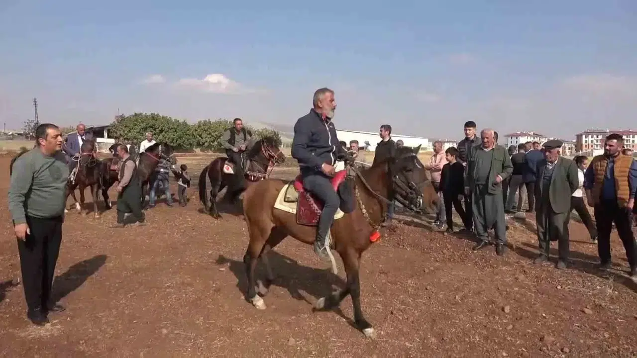 At Sevdalıları Adıyaman’da Bir Ortaya Geldi