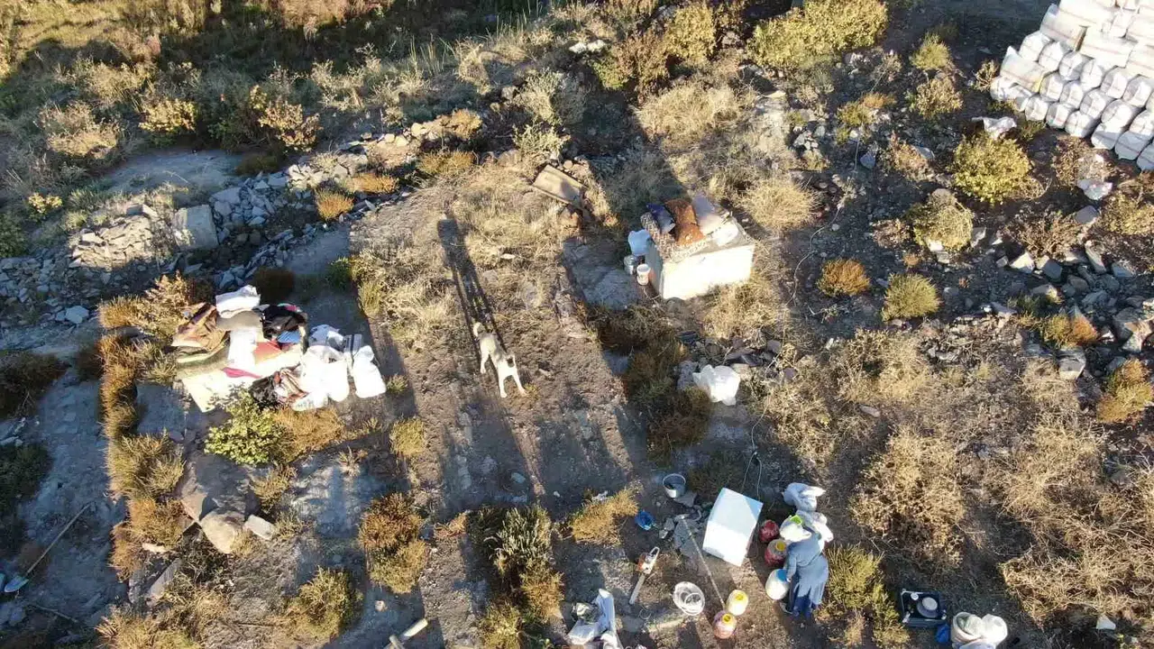 Besicinin Çadırının Üstünde Dron Gören Kangal Köpeği Bu türlü Reaksiyon Gösterdi
