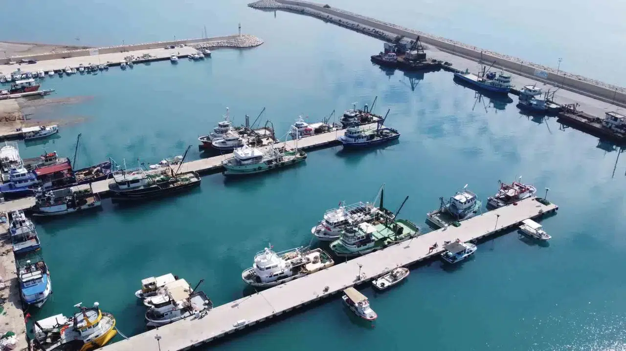 Doğu Akdeniz’de Balık Popülasyonu Azalıyor