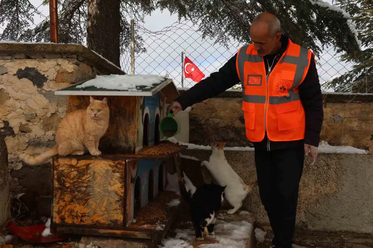 Elazığ’da Sokak Hayvanları İçin Tabiata Yem Bırakıldı