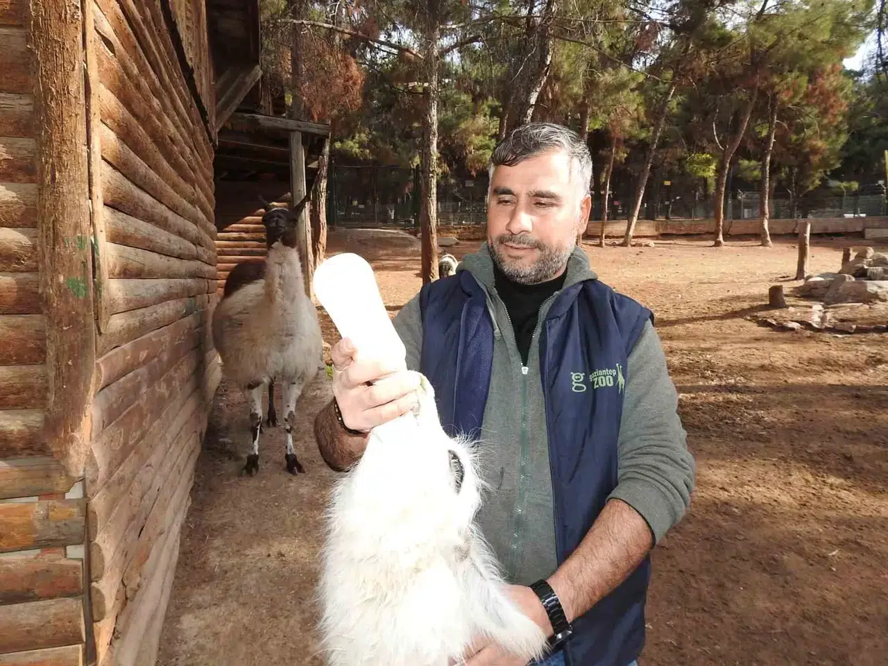 Gaziantep Zoo Parkı’nda Bin 100 Doğum Sevinci Yaşandı