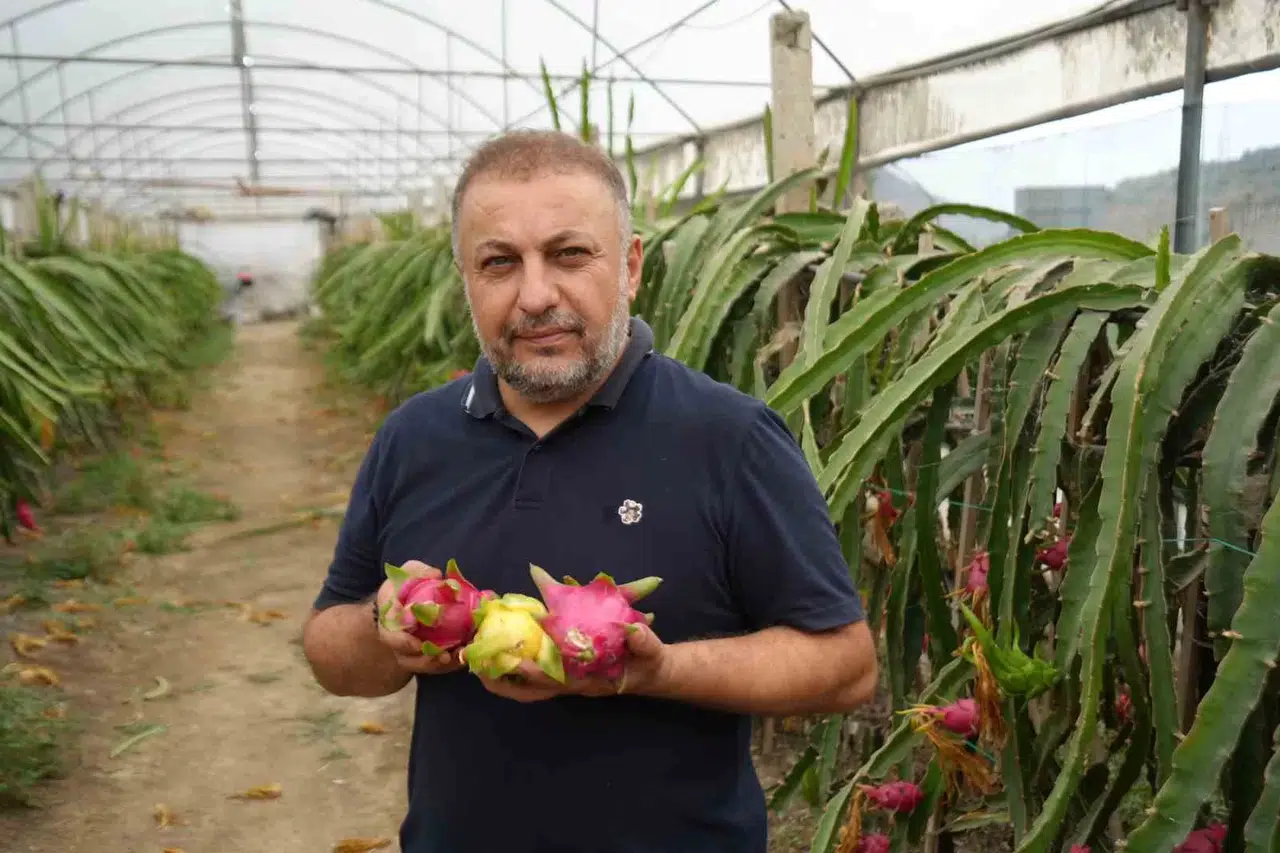 İnternetten Gördüğü Meyveyi Artık 210 Metrekarelik Serada Yılda 5 Sefer Hasat Ediyor