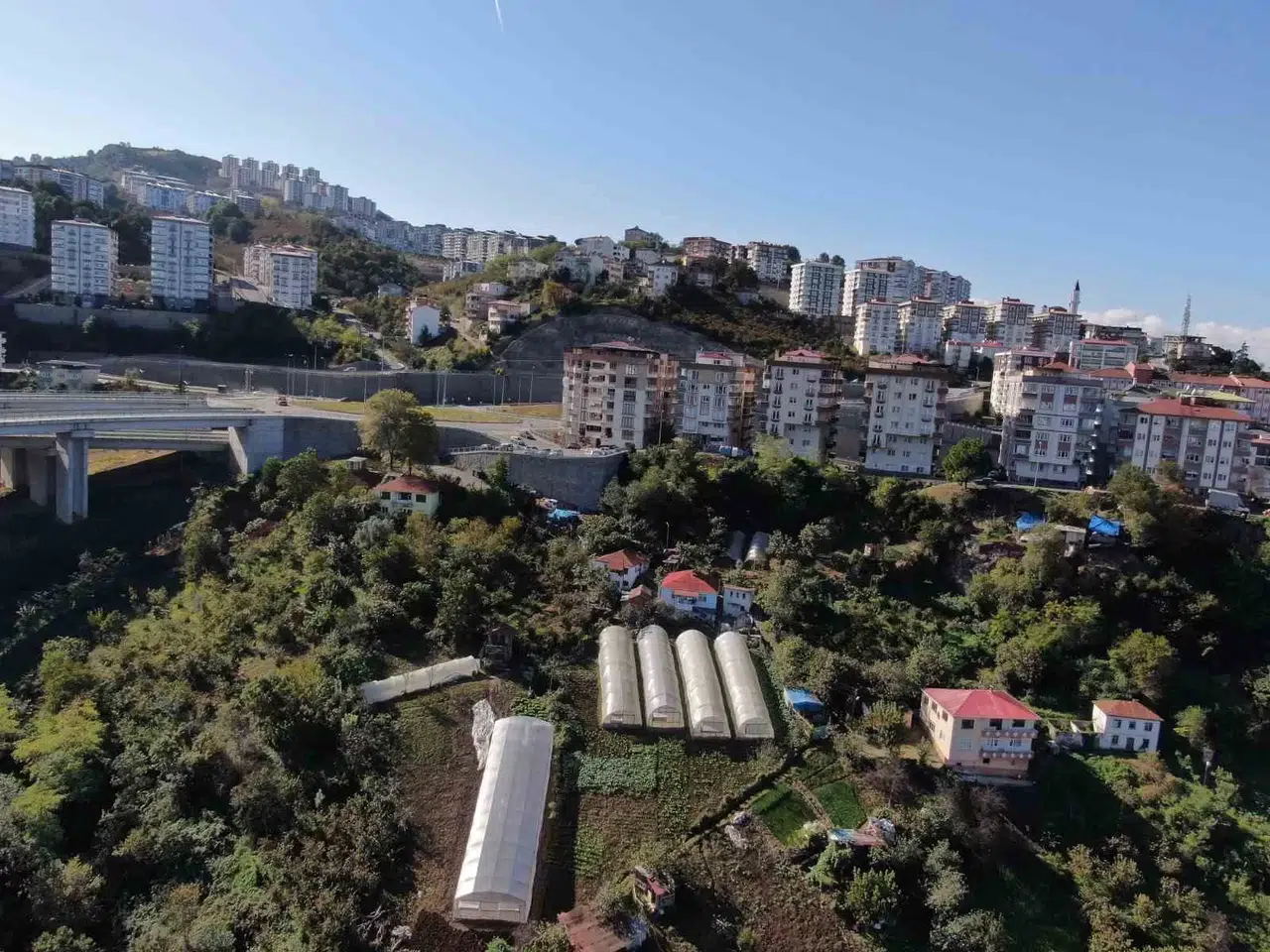 Kent Merkezinde Apartmanlar Ortasında Organik Tarım Yapıyorlar