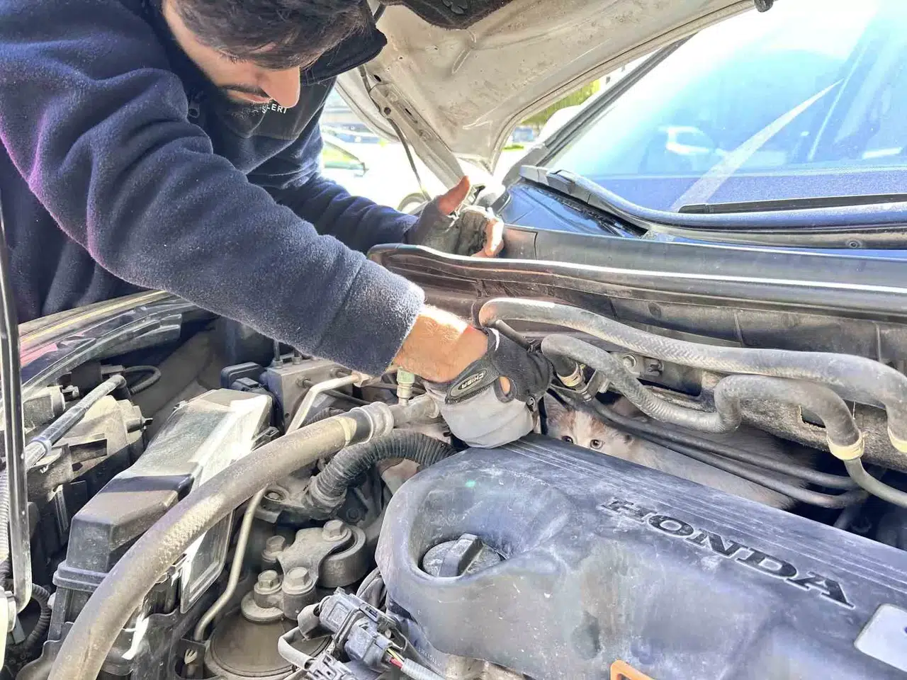 Seyir Halindeyken Aracından Gelen Sesi Fark Eden Şoför, Soğuktan Motora Sığınan Yavru Kediyi Kurtardı