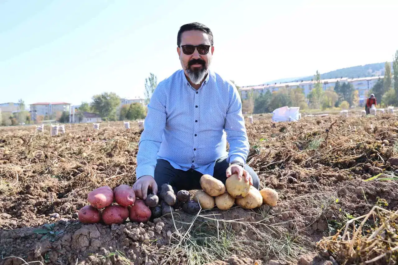 Sivas’ta Renkli Hasat Başladı